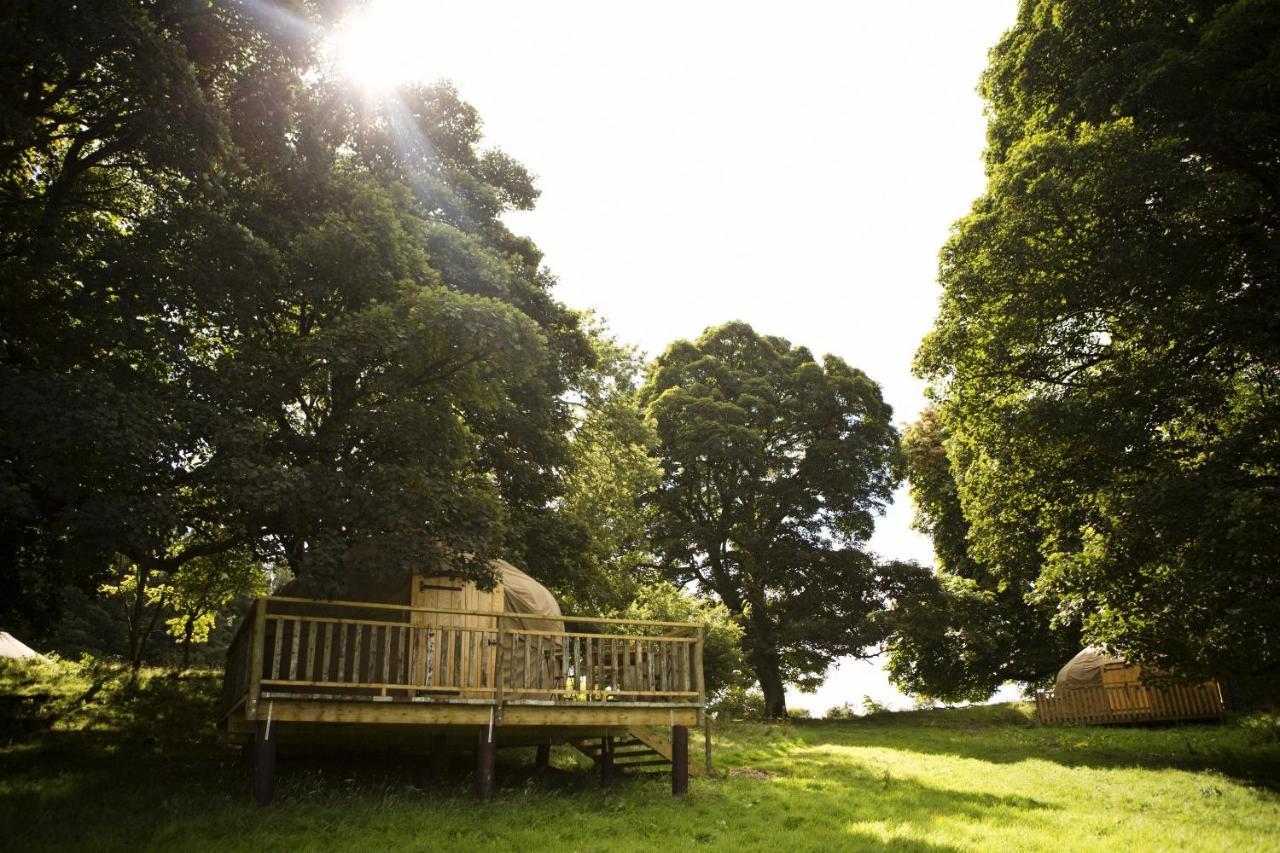 Rock Farm Slane - Glamping Hotell Exteriör bild