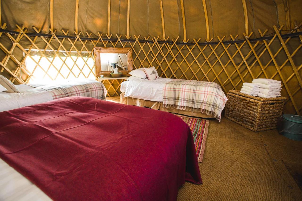 Rock Farm Slane - Glamping Hotell Rum bild